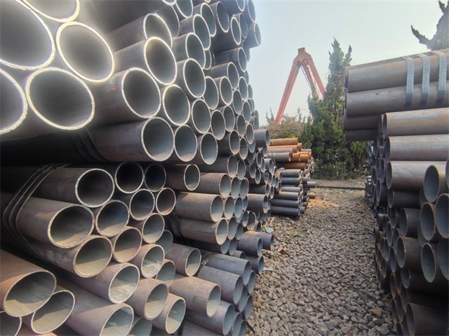 IMG_20230401_153546.jpg IMG_20230401_153546.jpg