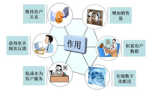 德州信息快排與網站安全 一站式外貿網絡服務助力企業數字化轉型